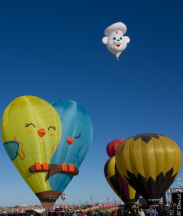 Albuquerque Balloon Fiesta 2017-4-13