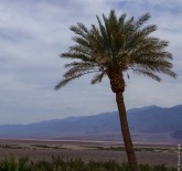 Death Valley CA 2018-78