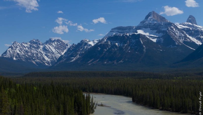 Jasper Icefields Parkway Athabasca and Sunwapta Falls-133